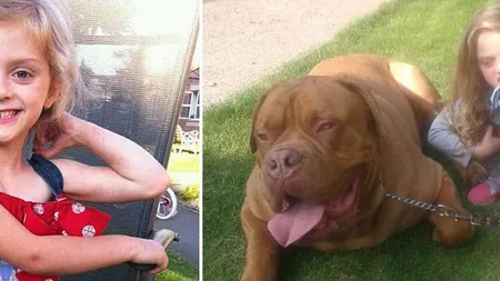 Câinii AGRESIVI provoacă tragedii: O fetiţă de 4 ani, UCISĂ SUB OCHII MAMEI ei de un MASTIFF francez