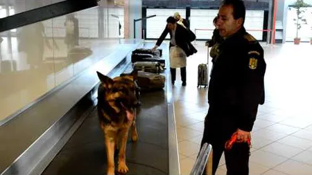 Descoperire incredibilă de Halloween pe aeroport. Vezi ce s-a găsit în bagajul unei femei