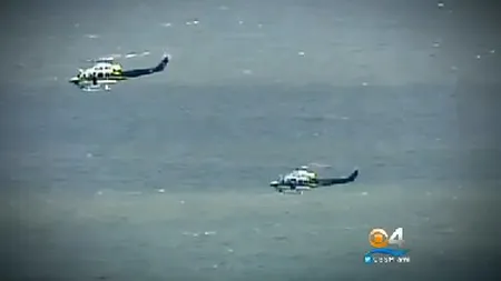 Un bărbat a căzut dintr-un avion uşor în Oceanul Atlantic, în largul coastelor Statelor Unite