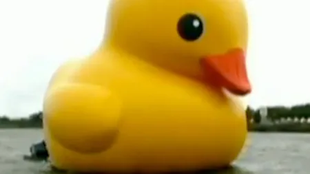 DUCKZILLA, gigantica răţuşcă olandeză, a fost UCISĂ de un seism puternic, în Taiwan