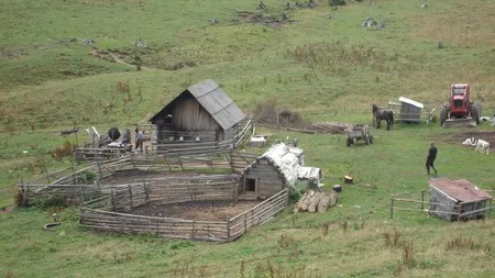 MOARTE SUSPECTĂ la Iaşi. Un tânăr, găsit mort în apropierea unei stâne