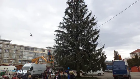 Concurs de împodobit brazi, duminică, în Bucureşti