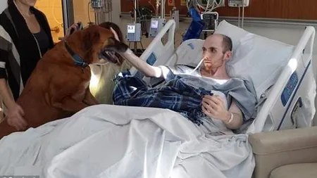 CUTREMURĂTOR. Un tânăr bolnav de cancer îşi ia ADIO de la cei dragi. Cum reacţionează câinele