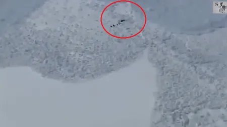 Un adevărat miracol: O turmă de capre negre scapă în mod uimitor de o avalanşă VIDEO