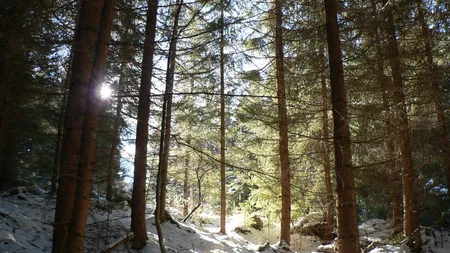 PROGNOZA METEO pe trei zile. Cum va fi vremea în ultimele zile din 2013