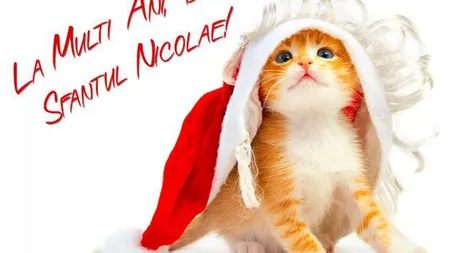 MESAJE HAIOASE DE SFANTUL NICOLAE: Surprinde-ţi prietenii!