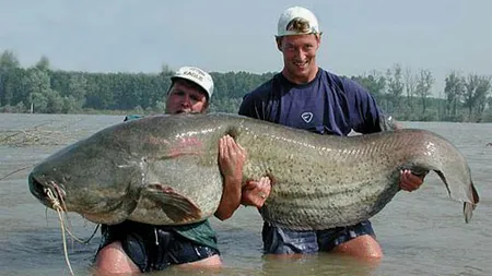 Veste bună pentru pescari. Nu vor mai avea voie să arunce prada înapoi în apă