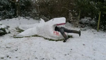 Cele mai BIZARE creaturi din zăpadă realizate la prima ninsoare, de la MINIONI la rechini FOTO