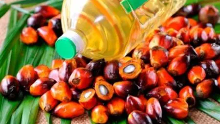 Consumaţi uleiul de palmier cu moderaţie! Vă puteţi îmbolnăvi