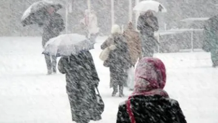 NINSORI şi VÂNT puternic în Moldova, Dobrogea şi estul Munteniei