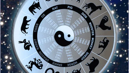 Zodiac chinezesc 2014. Cum stai cu dragostea, banii şi sănătatea în anul Calului de Lemn