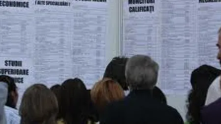 Circa 6.500 de locuri de muncă vacante la nivel naţional, la început de 2014