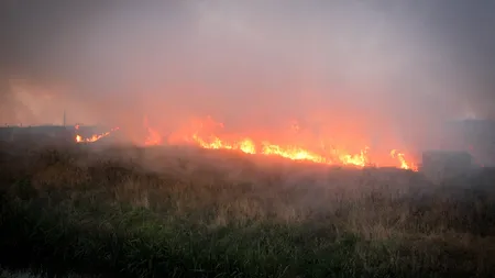Incendiu în Suceava: Zece hectare de vegetaţie uscată şi resturi de exploatare forestieră, mistuite de flăcări