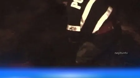 Salvare spectaculoasă la Mangalia: Zeci de oi, scoase de pompieri din MLAŞTINĂ VIDEO