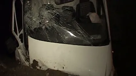 Accident grav în Timiş. 20 de oi moarte, o persoană rănită, iar şoferul a dispărut VIDEO