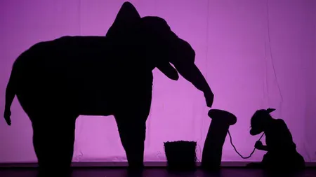 Doar o lună până la spectacolul Shadowland din Bucureşti