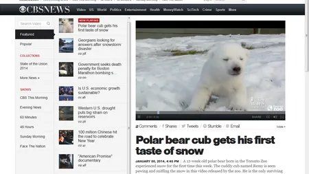 VEDETA Grădinii Zoologice din Toronto, la prima întâlnire cu ZĂPADA GALERIE FOTO VIDEO