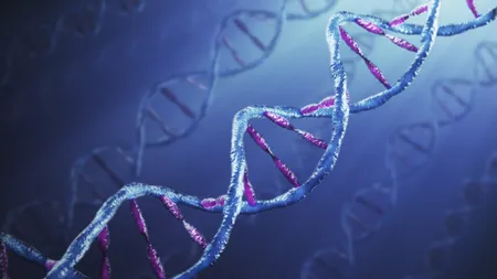 Ciuma neagră a modificat genomul uman