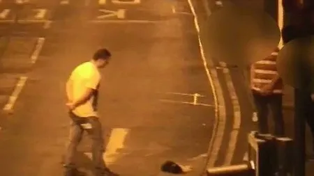 Pedeapsă exemplară în Marea Britanie: Un bărbat, condamnat la închisoare pentru că a ucis o pisică