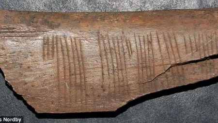 Mesaj CODAT, vechi de 900 DE ANI, descifrat de CERCETĂTORI: Ce au descoperit într-o bucată de os i-a uimit