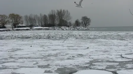 Operaţiune DRAMATICĂ de salvare în Dolj. Doi copii au scăpat cu viaţă din apele îngheţate ale unui lac VIDEO