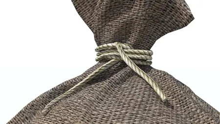 Descoperirea TERIFIANTĂ dintr-o casă părăsită. Ce au găsit autorităţile într-un sac
