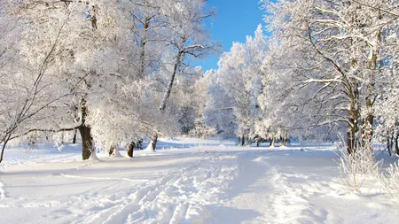 PROGNOZA METEO pentru miercuri, joi şi vineri. Află cum va fi vremea în Bucureşti şi în ţară