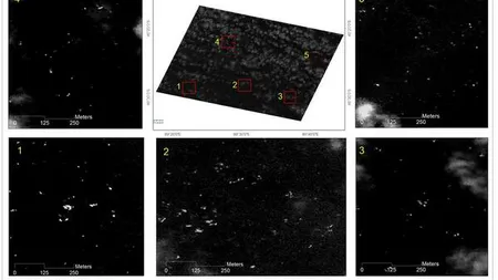 Avionul dispărut: Circa 300 de obiecte au fost localizate de un satelit thailandez în zona de căutare