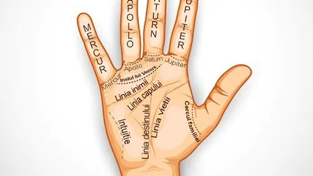Cum să citeşti în palma: primii pasi ca să-ţi ghiceşti viitorul