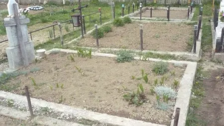 La furat în cimitir. Trei gălăţeni au fost prinşi în flagrant, pe morminte