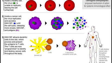 DESCOPERIRE importantă: Vaccin împotriva cancerului