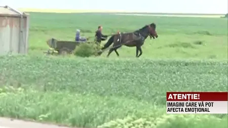 Scene ÎNFIORĂTOARE. Cal BĂTUT CU COASA de stăpân. Filmat, bărbatul a ATACAT şi echipa de jurnalişti VIDEO
