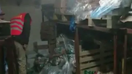 DESCOPERIRE ŞOCANTĂ înainte de Paşte: Carne de miel cu urme de fecale şi păr, găsită în magazine