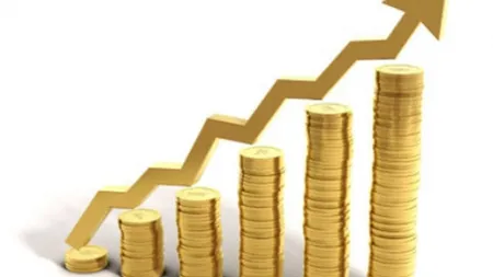 Economia poate să crească în T1 2014 cu până la 4%. Estimările pentru întregul an sunt între 2 şi 3,5%