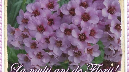 MESAJE DE FLORII: Cele mai frumoase FELICITARI DE FLORII