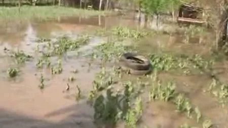 Toate casele dintr-un sat din Teleorman au fost INUNDATE. Localnicii au fugit din timp VIDEO