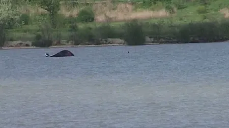 Un parapantist a căzut într-un lac de acumulare din Argeş VIDEO
