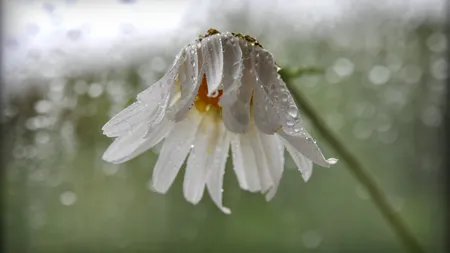 PROGNOZA METEO. Ploile se retrag în prima zi de Paşte şi apare soarele