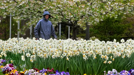 PROGNOZA METEO. Weekend-ul răcoros, cu ploi şi lapoviţe la munte