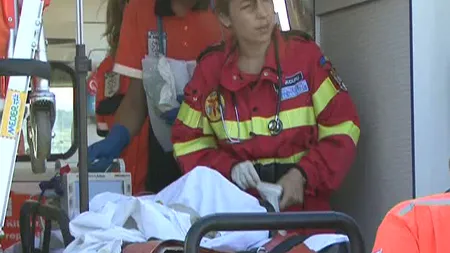 O nouă victimă a albinelor. Un bărbat este în STARE GRAVĂ după ce a fost atacat de un roi