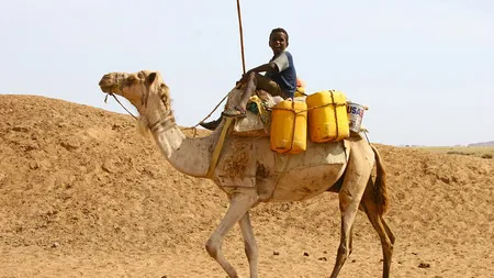 Ţiganii deşertului: Obiceiurile bizare ale tribului nomad Rashaida GALERIE FOTO