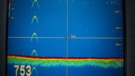 Monstrul din Loch Ness, detectat de sonar: Obiectul neobişnuit din lacul scoţian FOTO