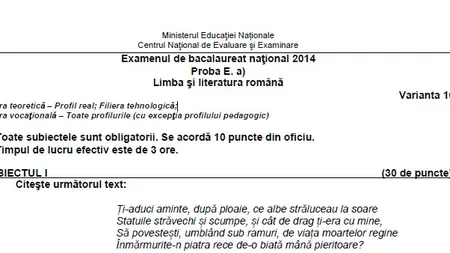 BAC 2014, sesiune specială. Vezi ce SUBIECTE le-au picat OLIMPICILOR la LIMBA ŞI LITERATURA ROMÂNĂ