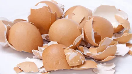 Nu mai arunca cojile de ou. Află ce poţi face cu ele