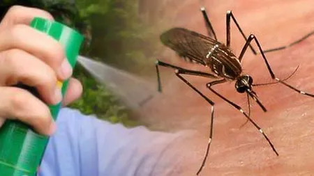 MAE, ATENŢIONARE de CĂLĂTORIE: În Tanzania şi Kenya se înmulţesc cazurile de FEBRĂ DENGUE