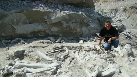 Fosila unei noi specii de mamifer, descoperită lângă Alba-Iulia