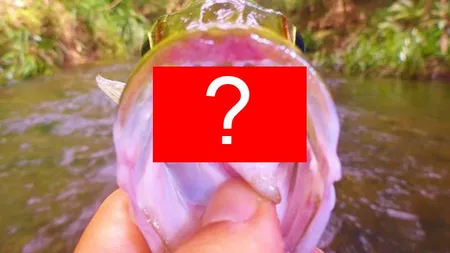 Ce a descoperit un pescar în gura unui peşte. Imaginea care îţi va însenina ziua FOTO