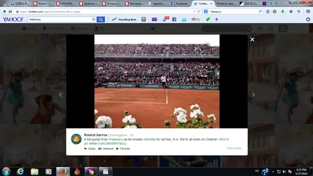 ROLAND GARROS 2014. Turneul s-a ÎNCHEIAT pentru Victor Hănescu