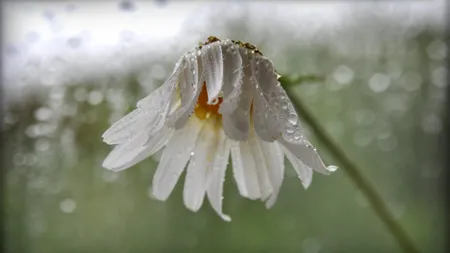 Veşti bune de la meteorologi: Codul galben va fi restrâns