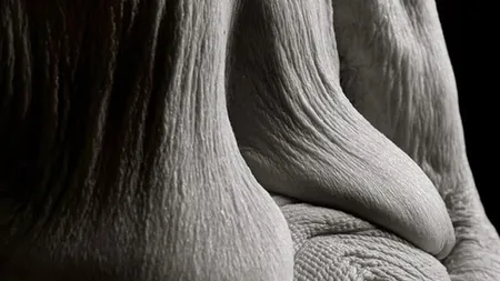 Imagini IMPRESIONANTE: Femeia care a POZAT NUD la 100 de ANI GALERIE FOTO